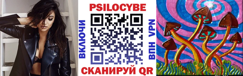 где купить наркотик Шарыпово Псилоцибиновые грибы Magic Shrooms